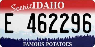 ID license plate E462296