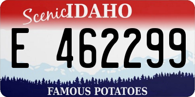 ID license plate E462299