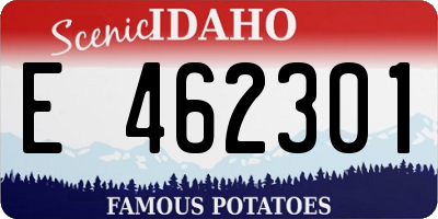 ID license plate E462301
