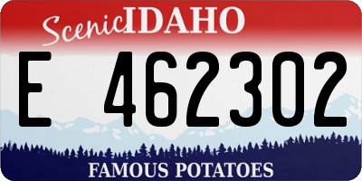 ID license plate E462302