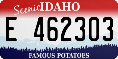 ID license plate E462303