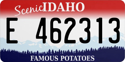 ID license plate E462313
