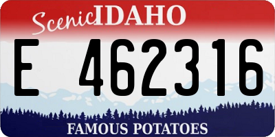 ID license plate E462316