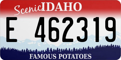 ID license plate E462319
