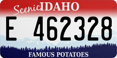 ID license plate E462328