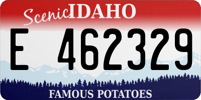 ID license plate E462329