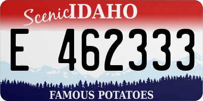 ID license plate E462333