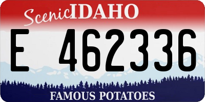 ID license plate E462336