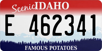 ID license plate E462341