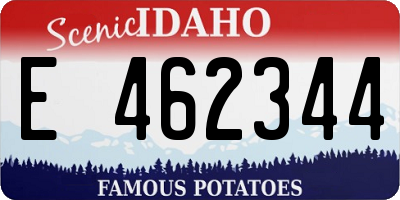 ID license plate E462344