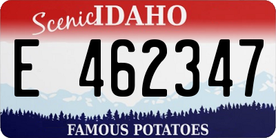 ID license plate E462347
