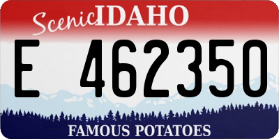 ID license plate E462350