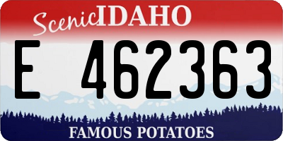 ID license plate E462363