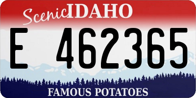 ID license plate E462365