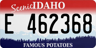 ID license plate E462368