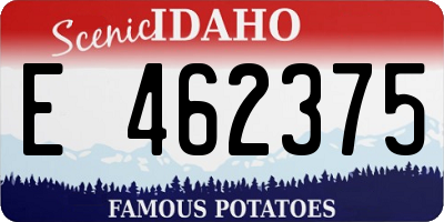 ID license plate E462375