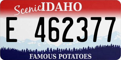 ID license plate E462377