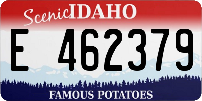 ID license plate E462379