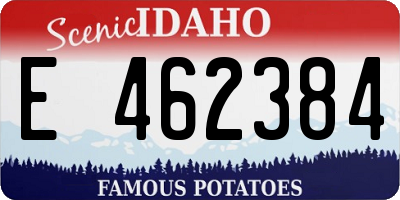 ID license plate E462384