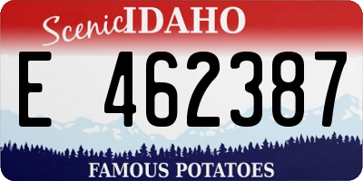 ID license plate E462387