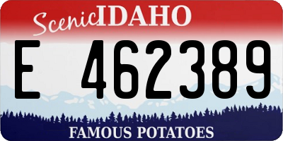 ID license plate E462389
