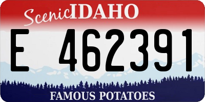 ID license plate E462391
