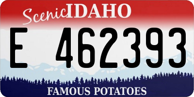 ID license plate E462393