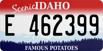 ID license plate E462399
