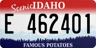 ID license plate E462401