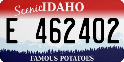 ID license plate E462402