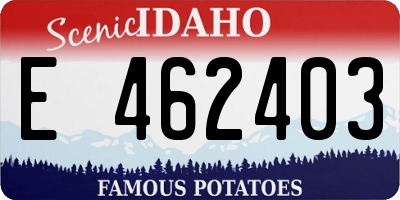 ID license plate E462403