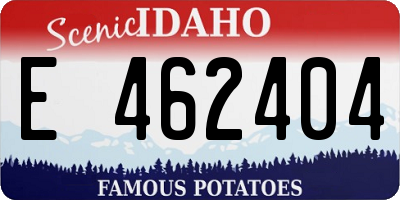 ID license plate E462404