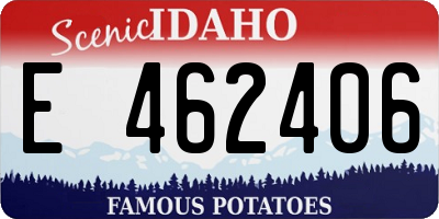 ID license plate E462406