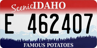 ID license plate E462407
