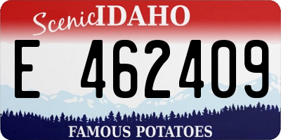 ID license plate E462409