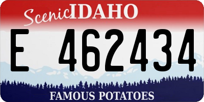 ID license plate E462434