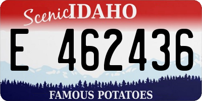 ID license plate E462436