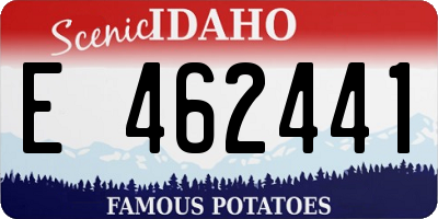 ID license plate E462441