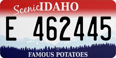 ID license plate E462445