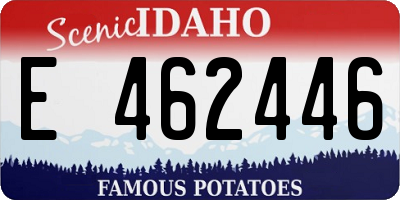 ID license plate E462446