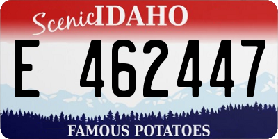 ID license plate E462447
