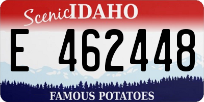 ID license plate E462448