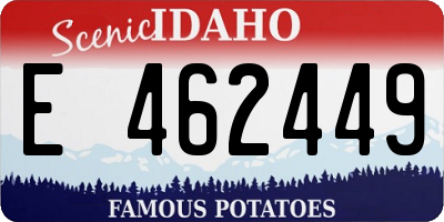 ID license plate E462449