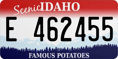 ID license plate E462455