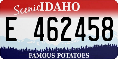 ID license plate E462458