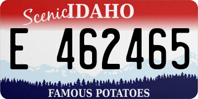ID license plate E462465