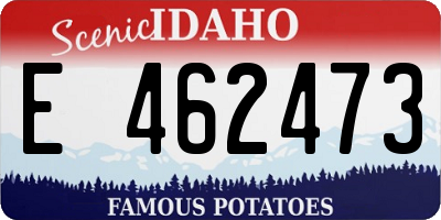 ID license plate E462473