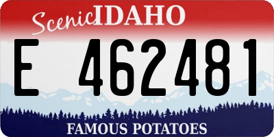 ID license plate E462481