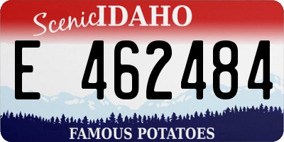 ID license plate E462484
