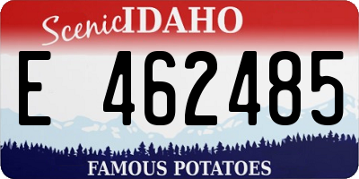 ID license plate E462485